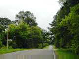 More trees in eastern Texas