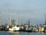 Pass Christian harbor on coast
