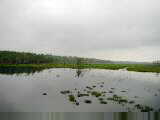 Lake Miccosukee