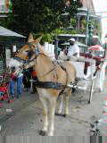 Jackson Square, New Orleans