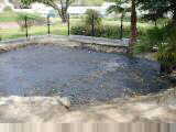 La Brea tar pit