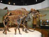 Page Museum at La Brea Tar pits