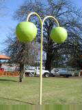 Donnybrook apples