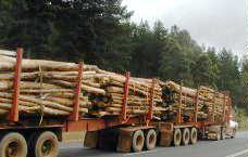 Log truck