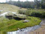 Shannon National Park