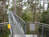 Tree Top walk