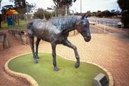 A horse named Norseman